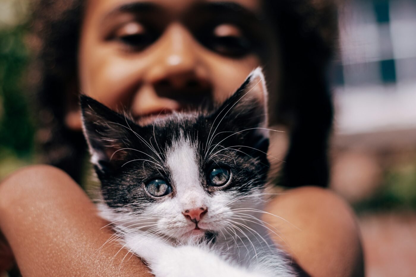 About MyPets.id
